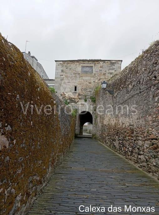 Viveiro Dreams