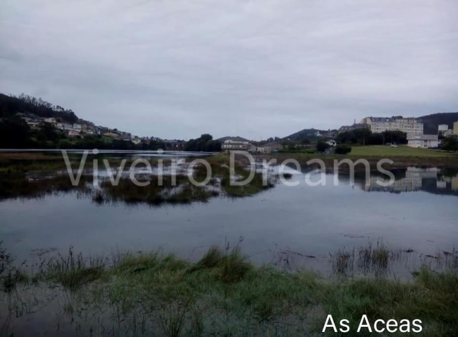 Viveiro Dreams