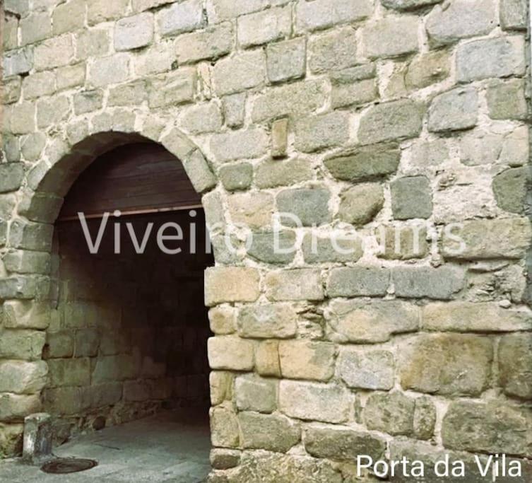 Viveiro Dreams