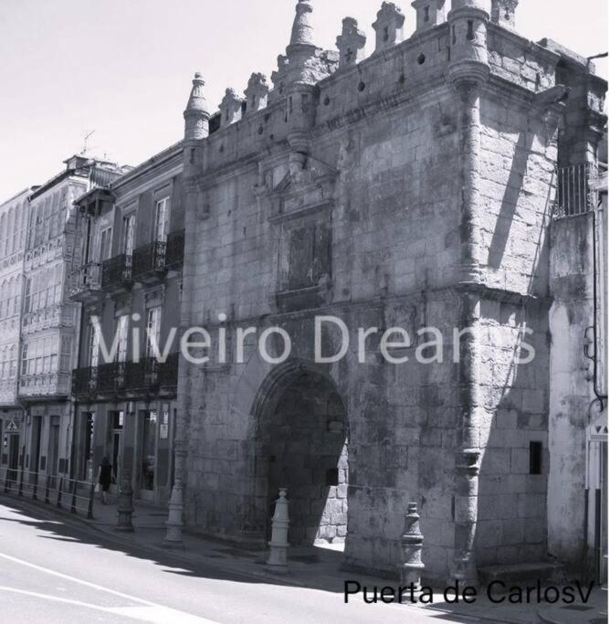 Viveiro Dreams