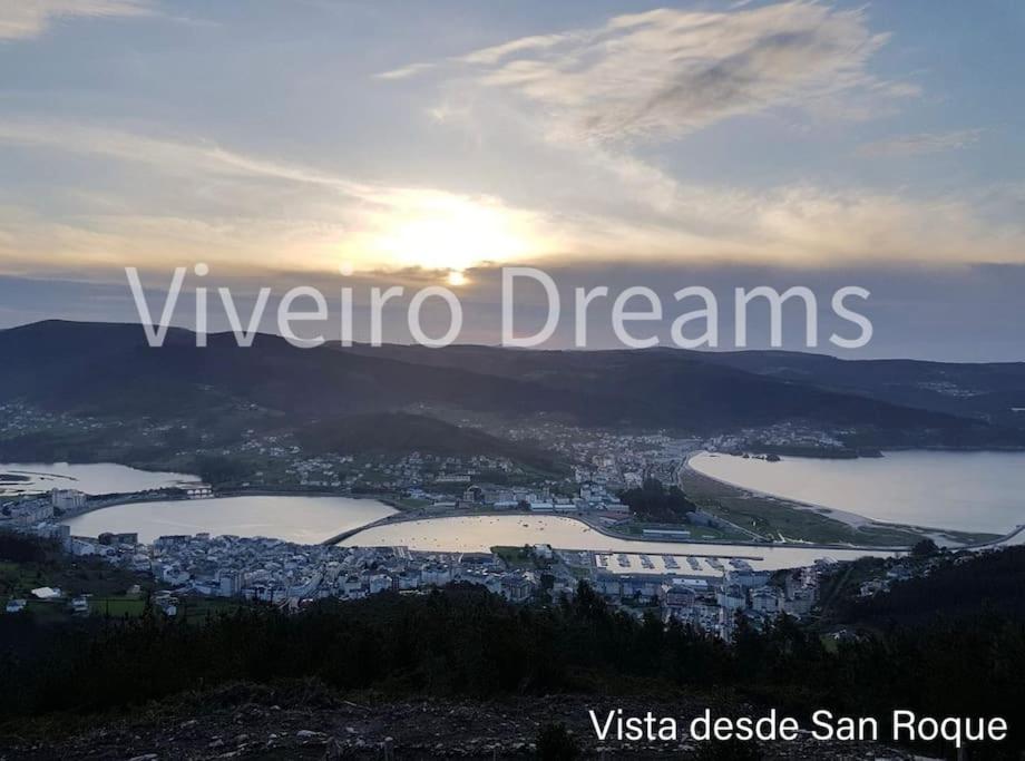 Viveiro Dreams