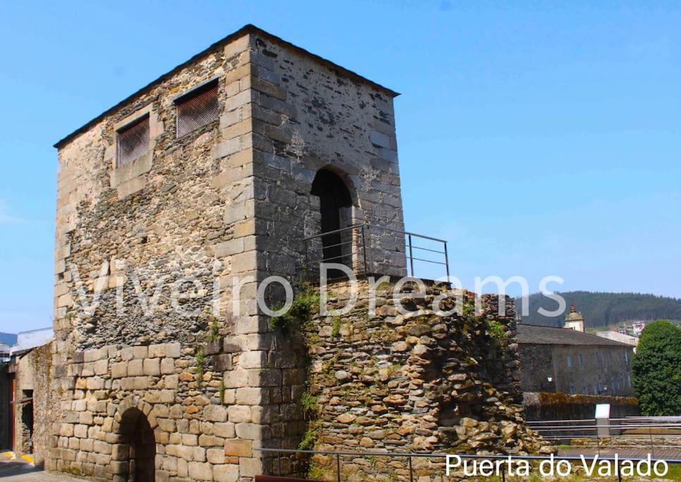 Viveiro Dreams
