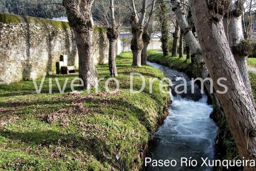 Viveiro Dreams