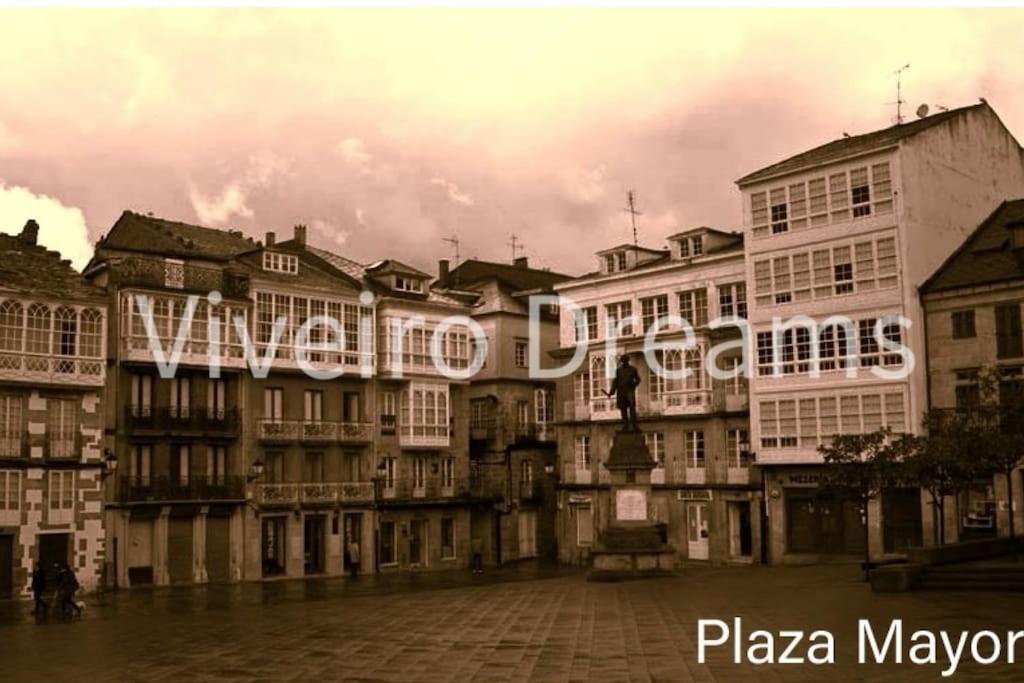 Viveiro Dreams