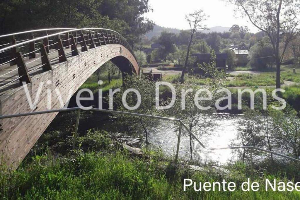 Viveiro Dreams