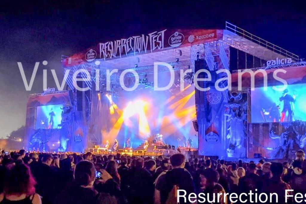 Viveiro Dreams