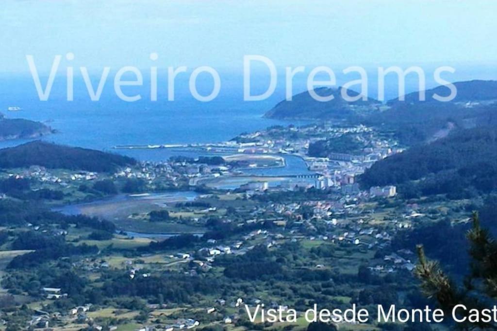 Viveiro Dreams
