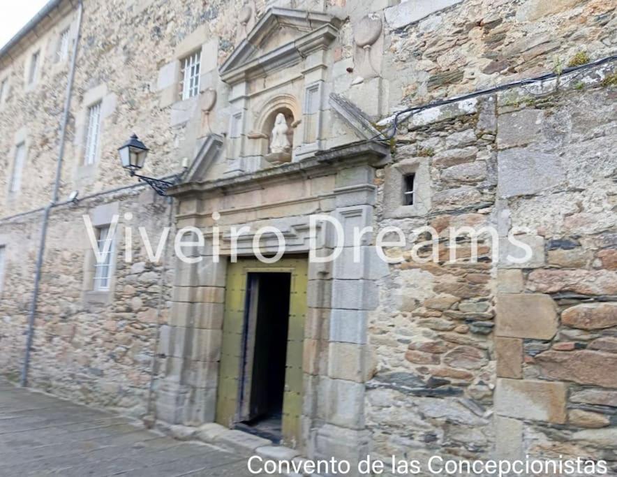 Viveiro Dreams
