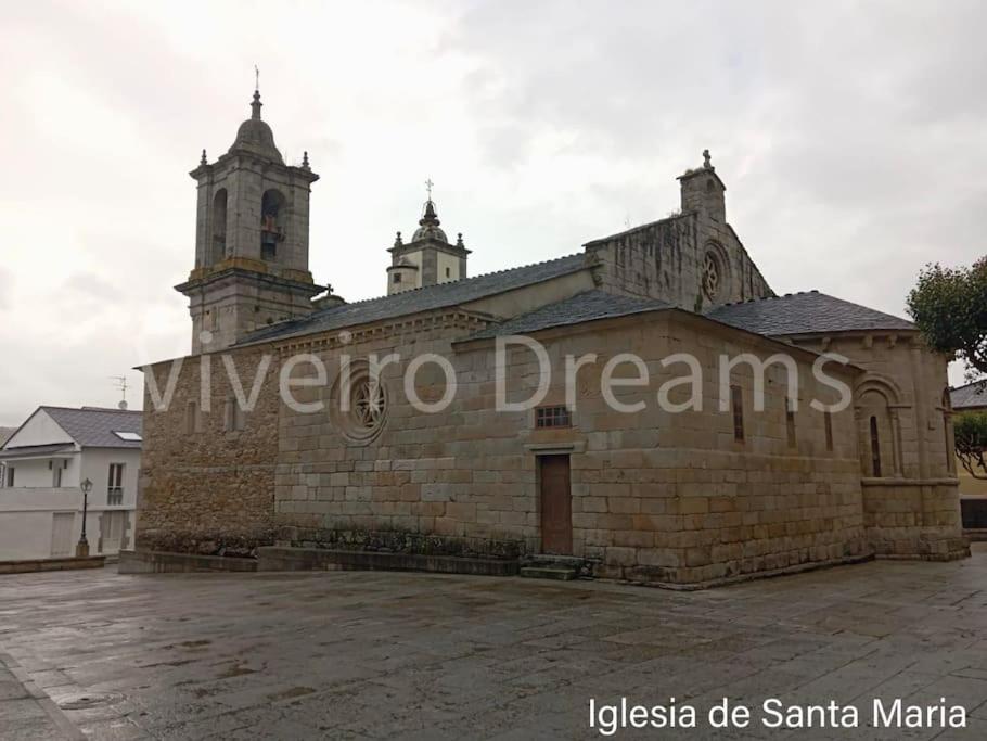 Viveiro Dreams