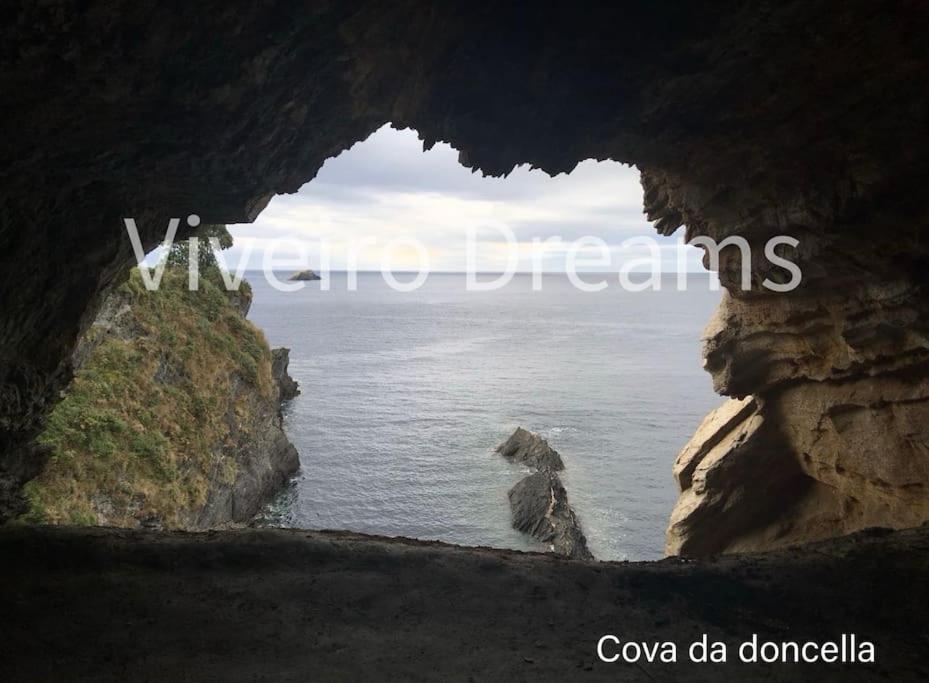 Viveiro Dreams