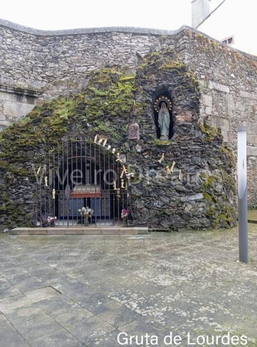 Viveiro Dreams