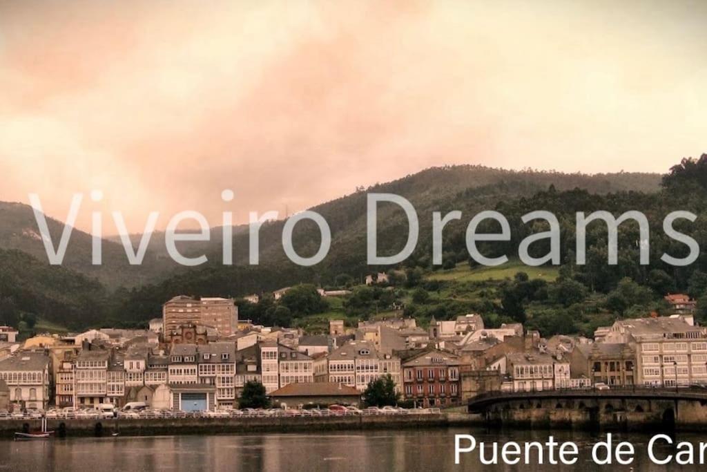 Viveiro Dreams