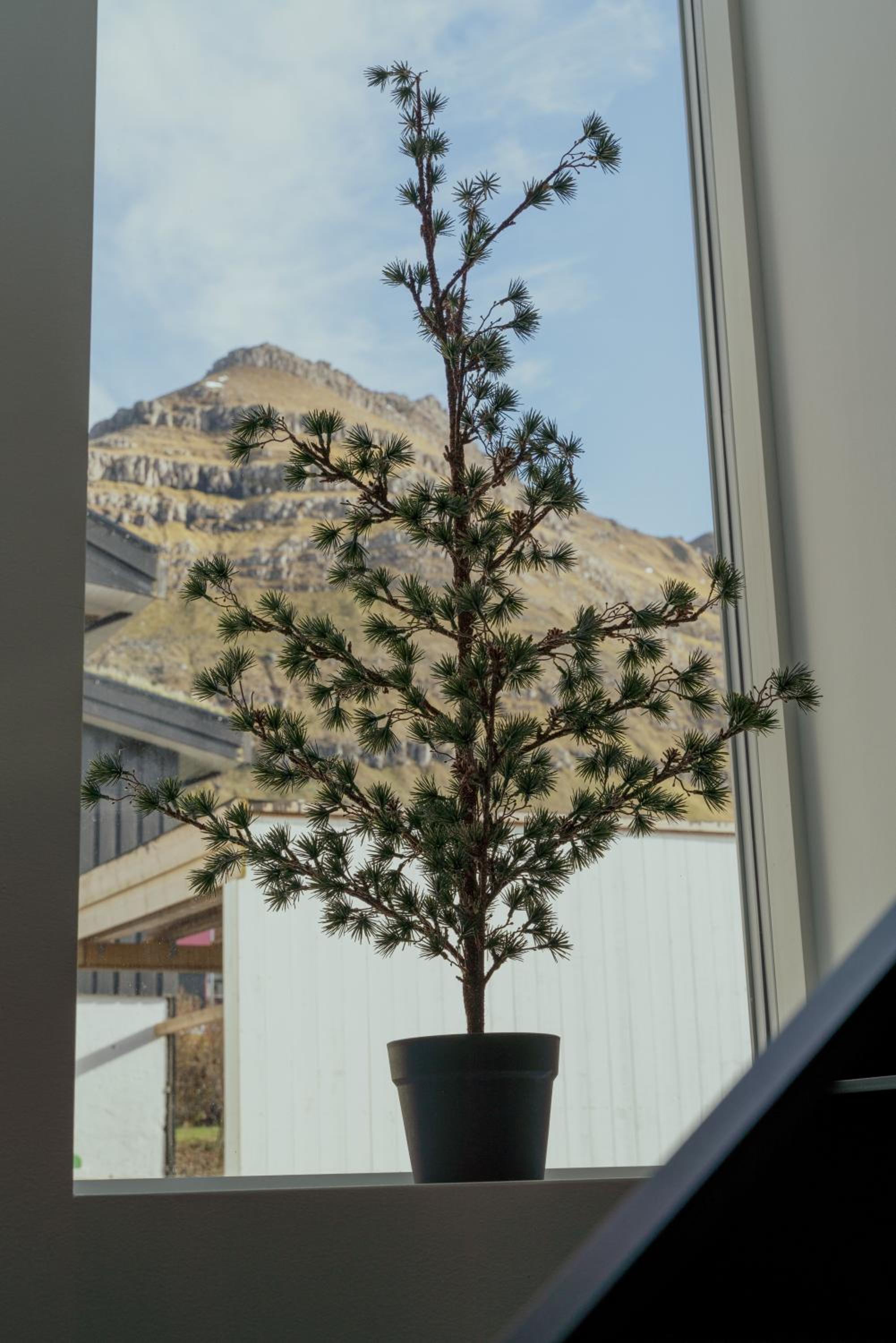 Nyrenoveret, moderne,hyggeligt hus