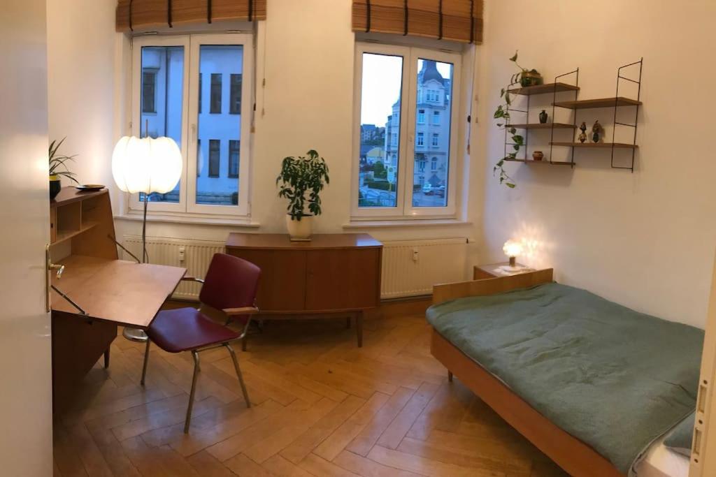 Stylische Mid-Century-Wohnung im Zentrum Plauens