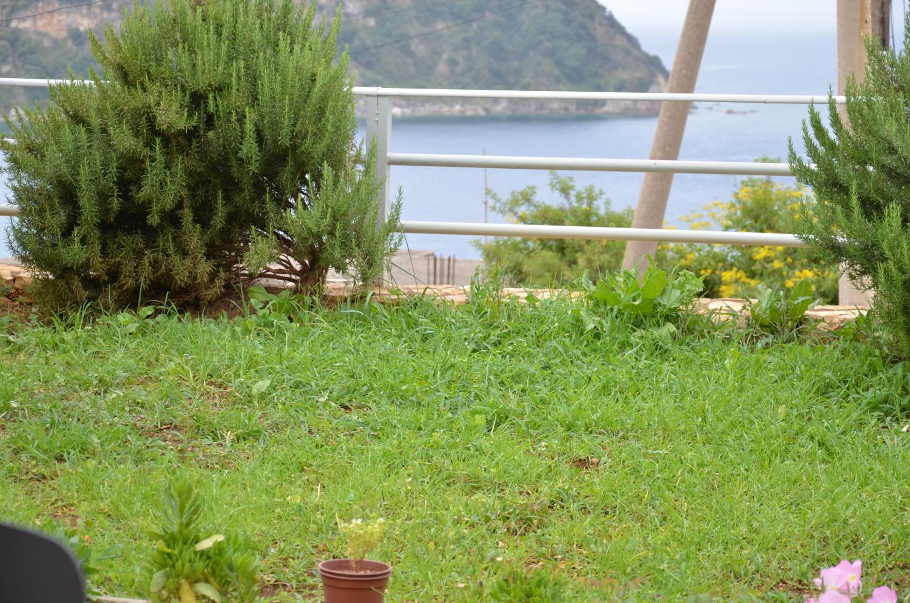 Harmonia Himara photo 5