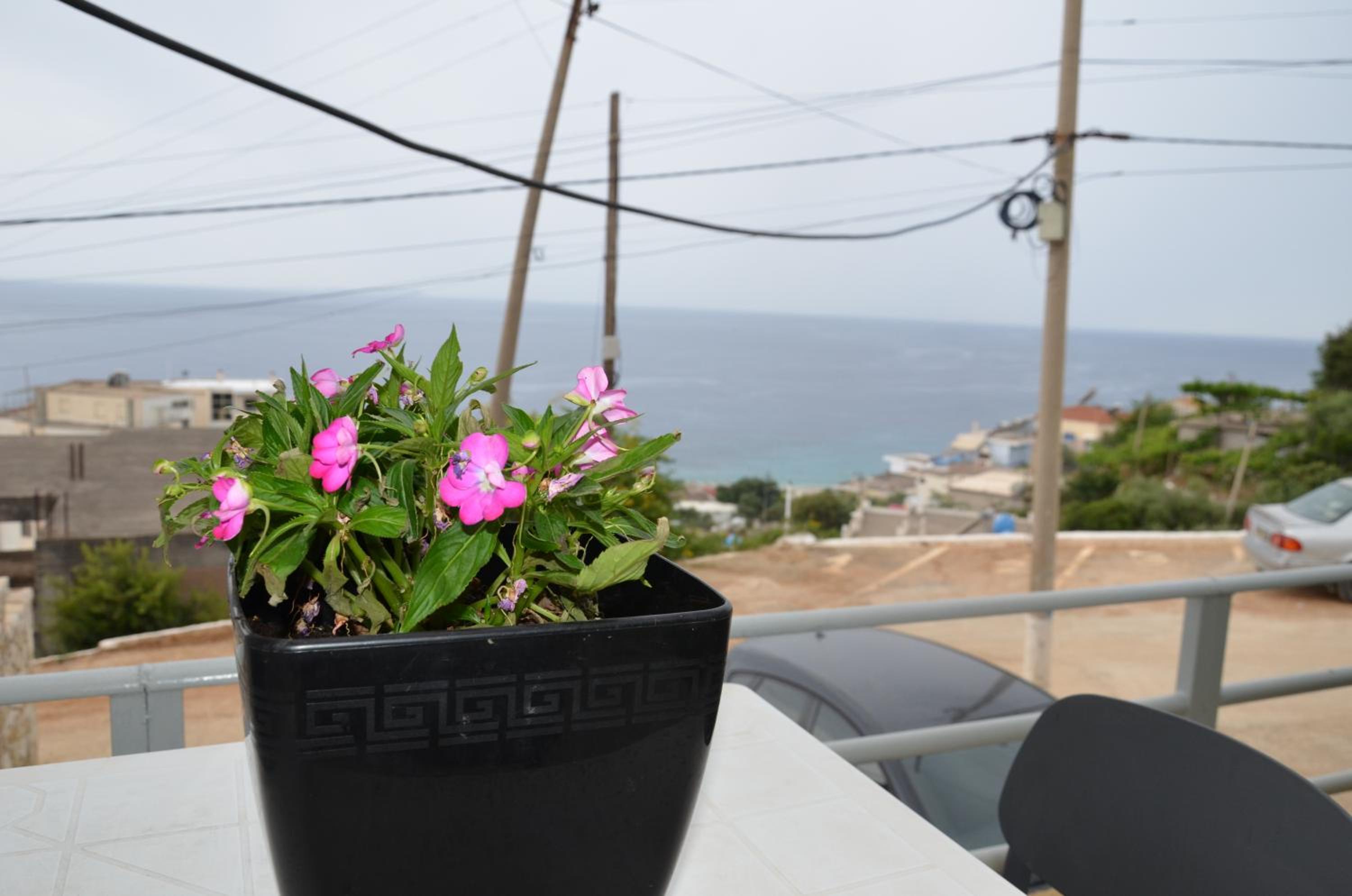 Harmonia Himara photo 4