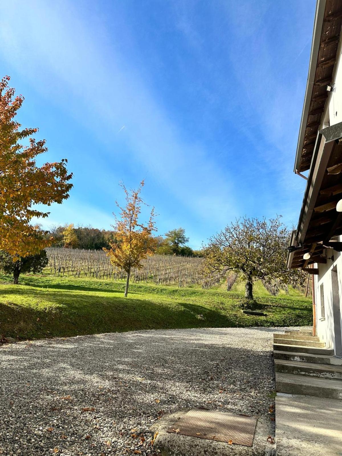 Agriturismo Poggiacolle