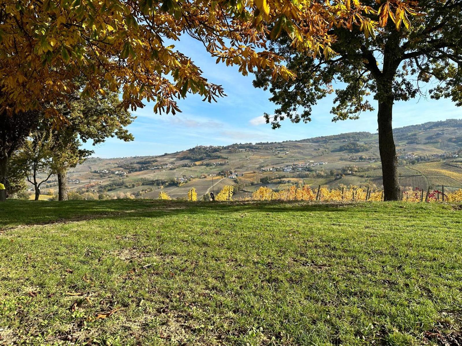 Agriturismo Poggiacolle