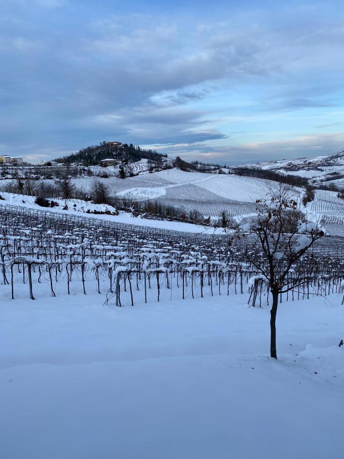 Agriturismo Poggiacolle