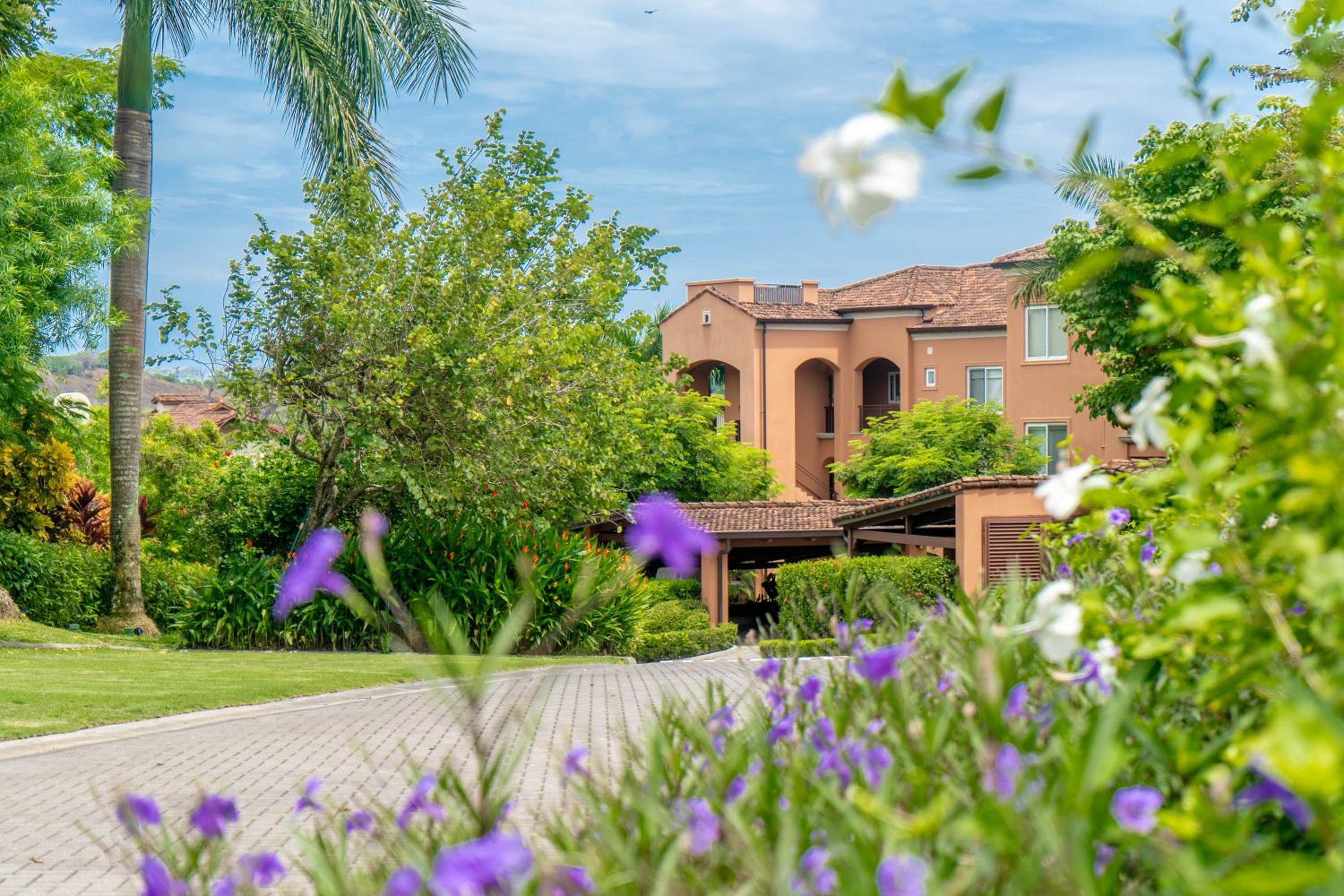 Luxury, ocean view, 3-bedroom condo @ Los Sueños