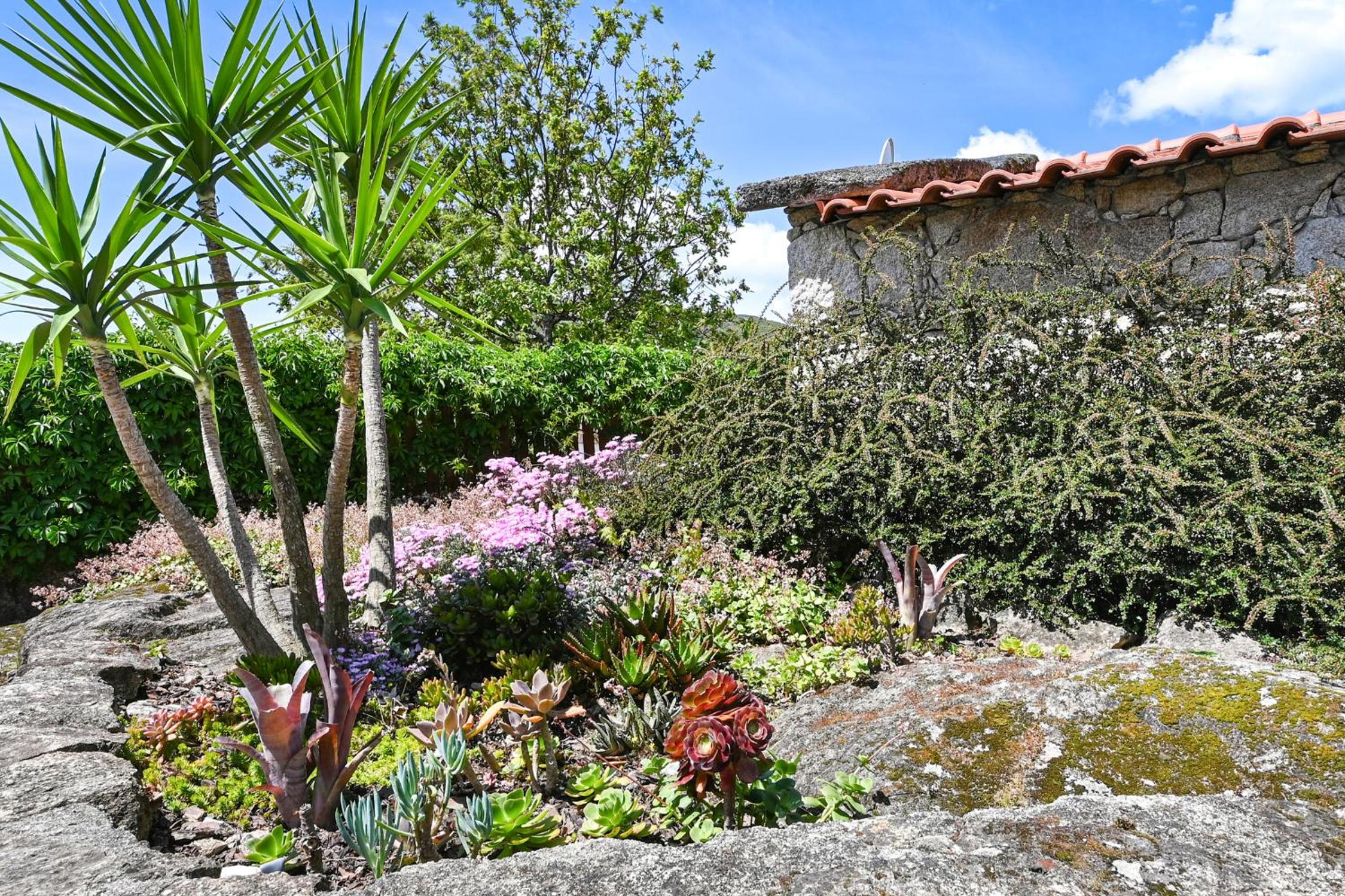 Casas das Olas view 5