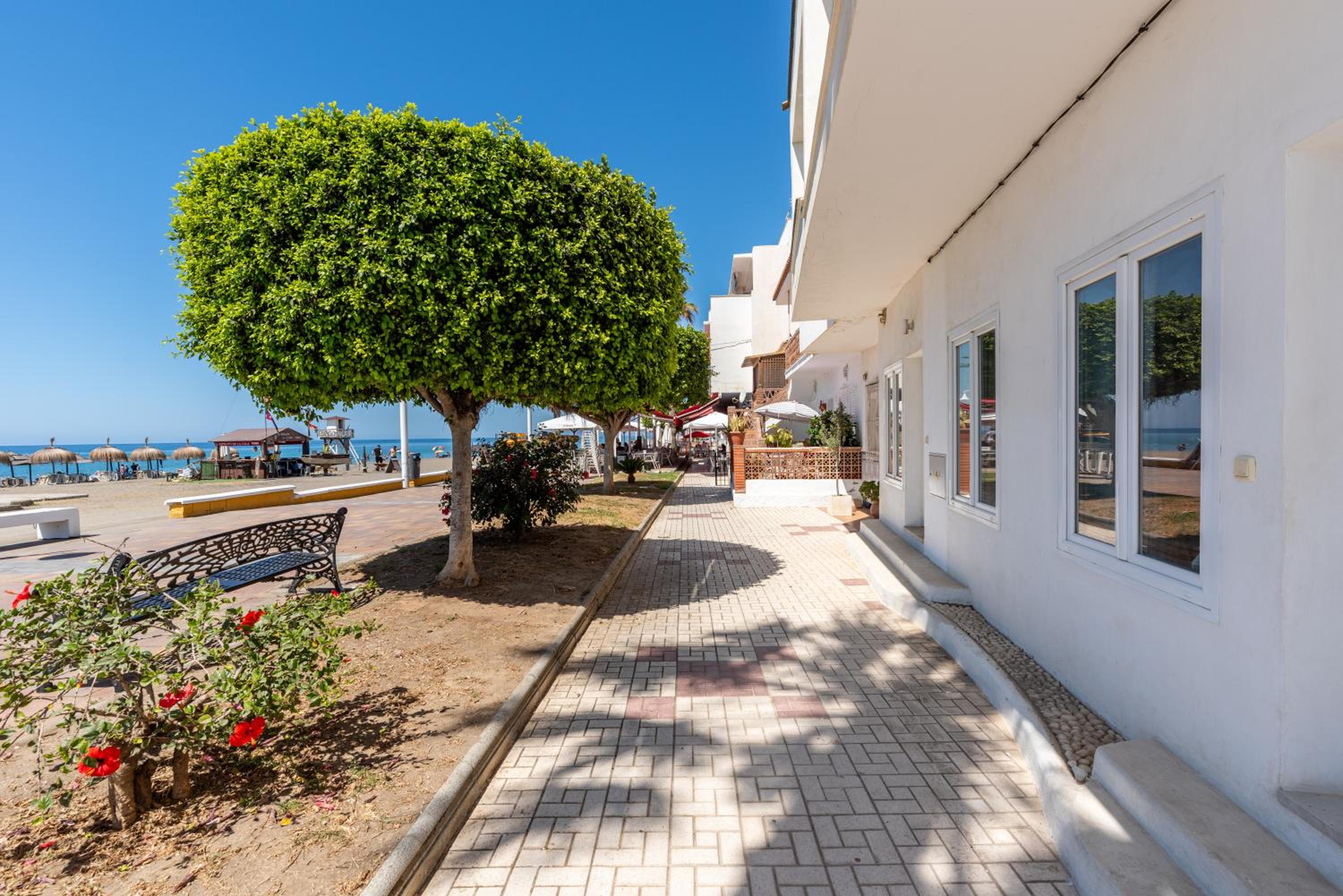 WintowinRentals Dream Home on the beachfront