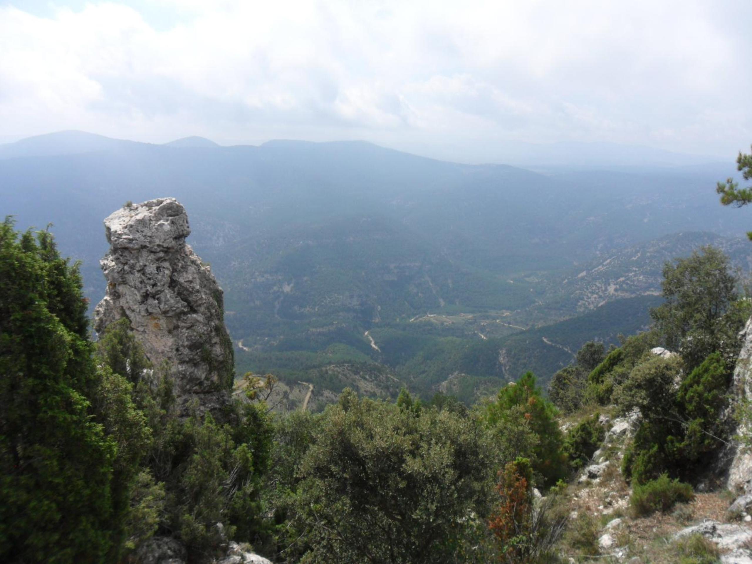 Photo 28