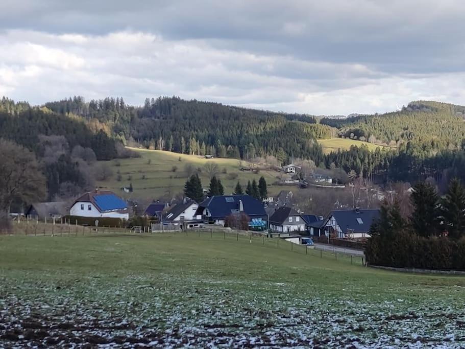 Holzhaus Chalet Nationalpark Eifel Hund willkommen
