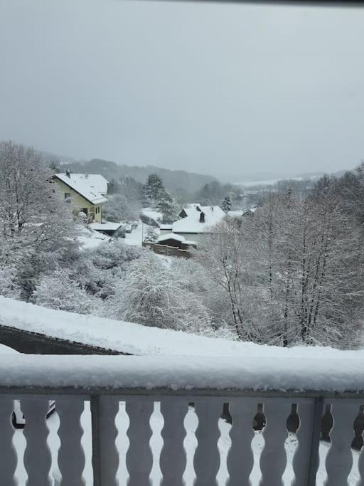 Holzhaus Chalet Nationalpark Eifel Hund willkommen