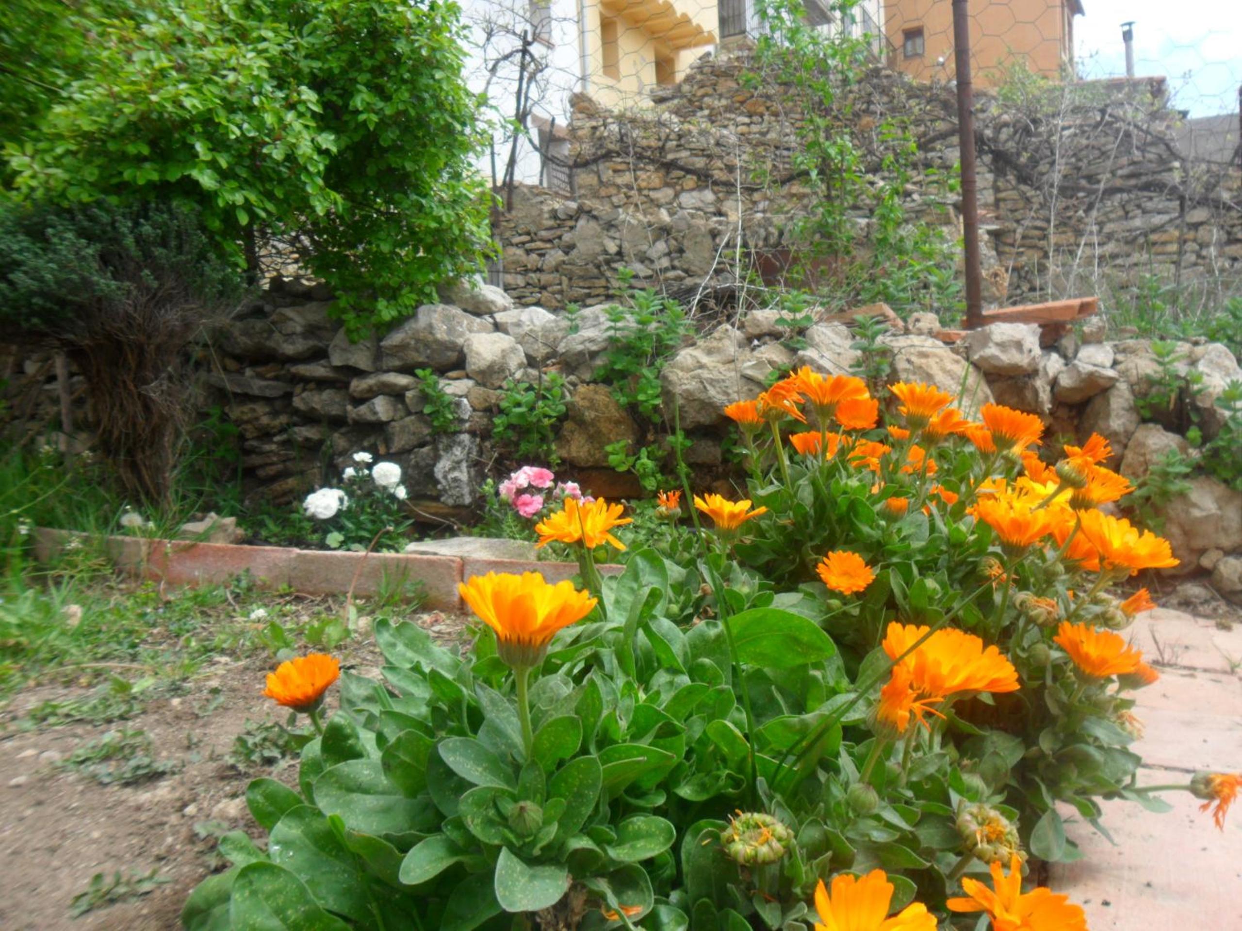 Photo 34