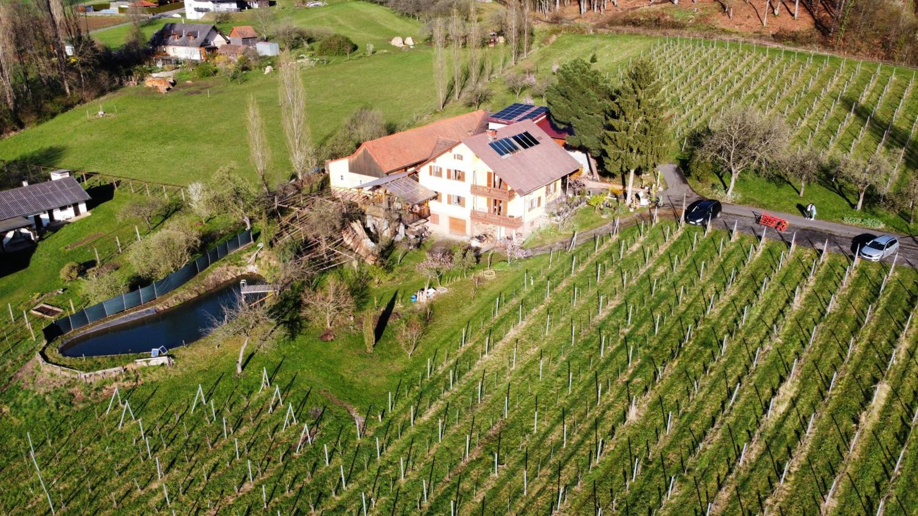 Appartement Weingut Schoberhof