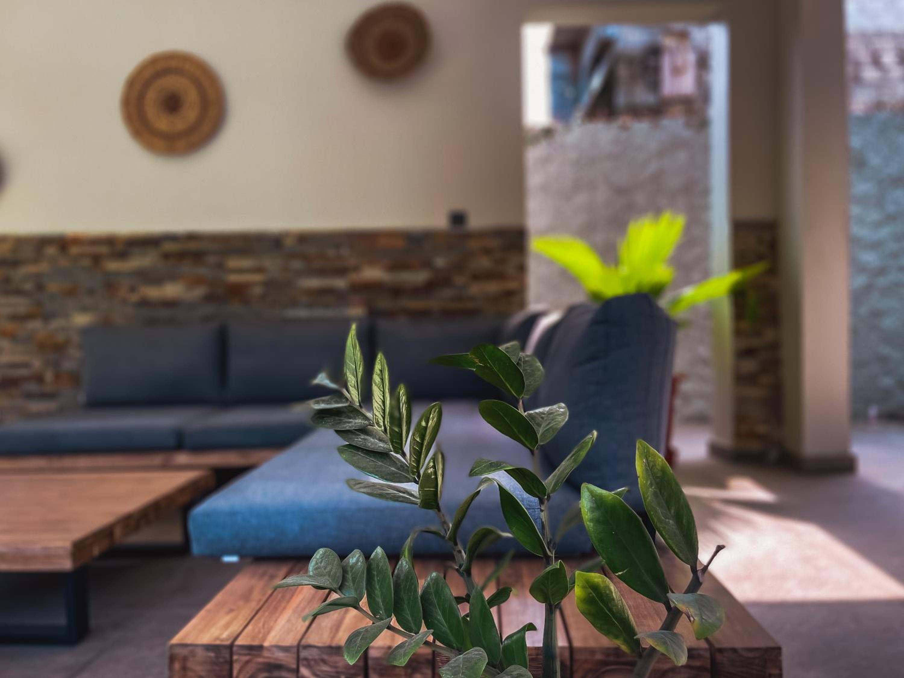 La Villa Tahiba - un écrin de verdure à Cocody