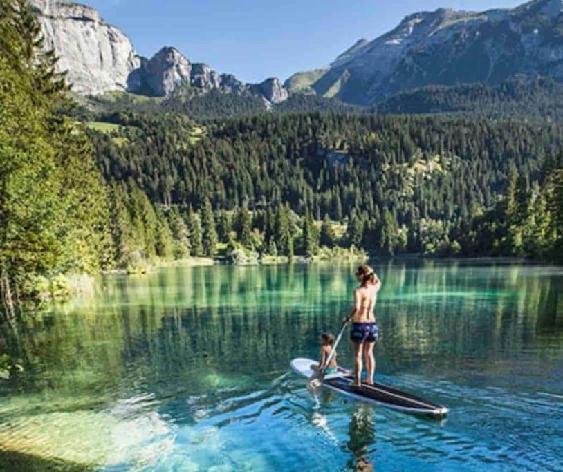 Modern 2 bedroom apartment in Laax