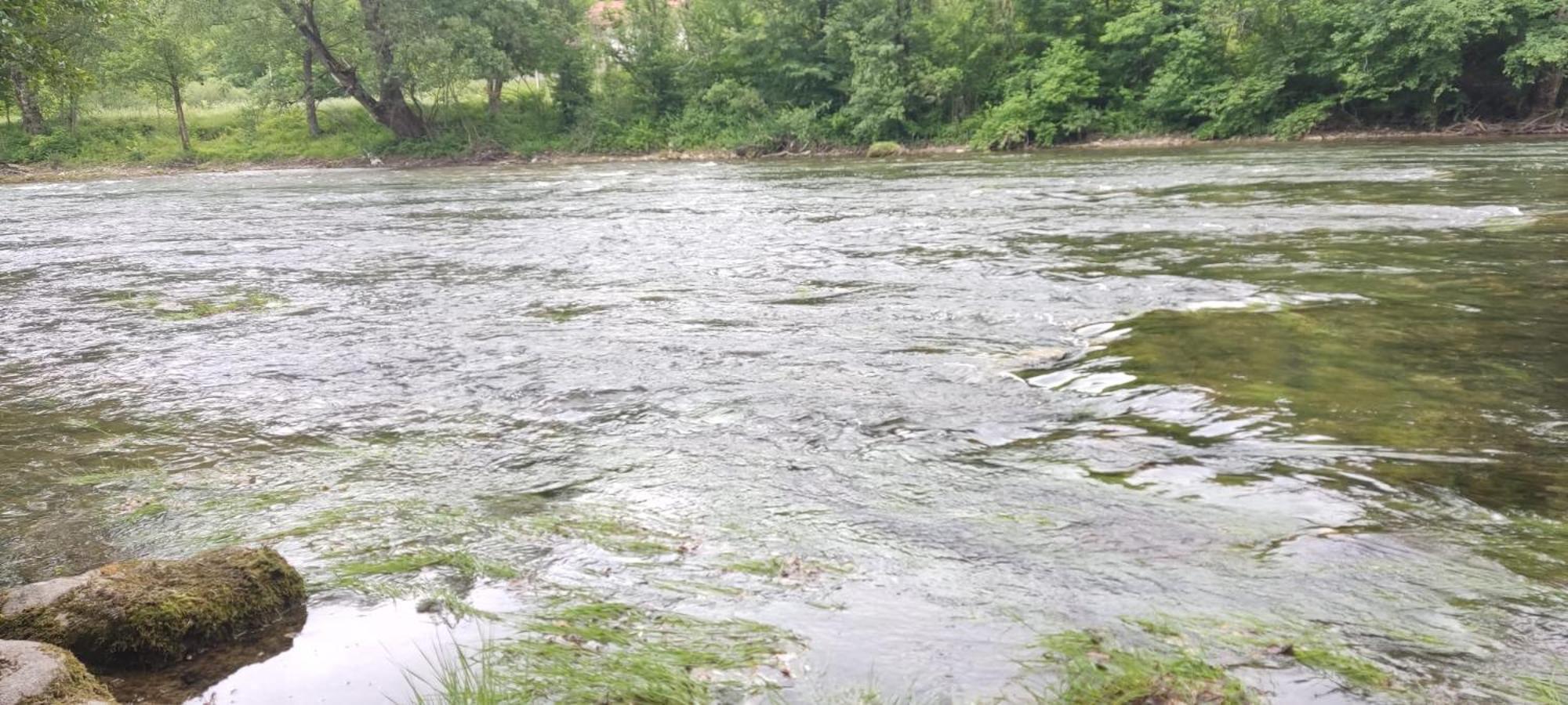 Campingplatz Stara Kula