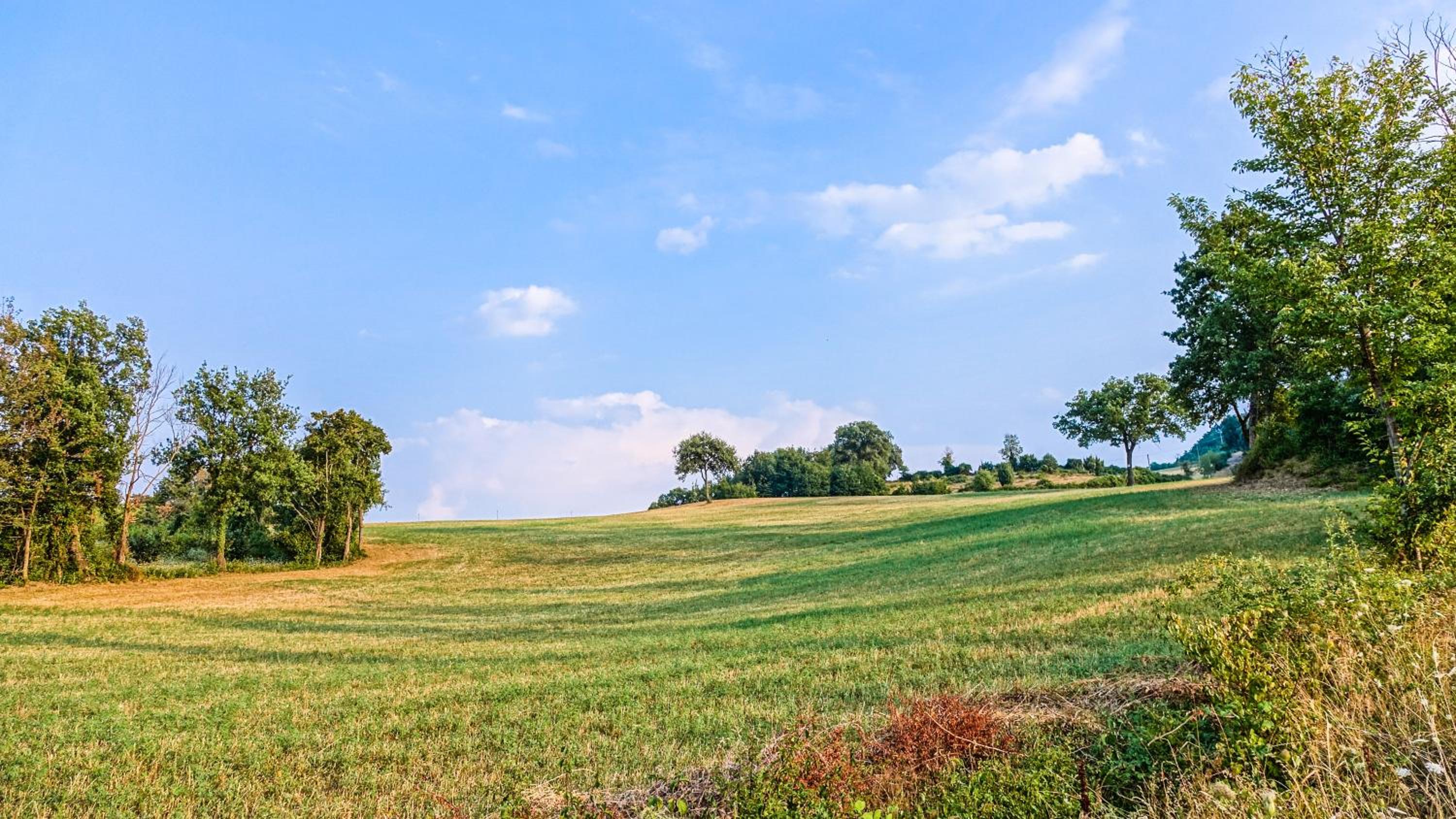 Agriturismo Montelovesco