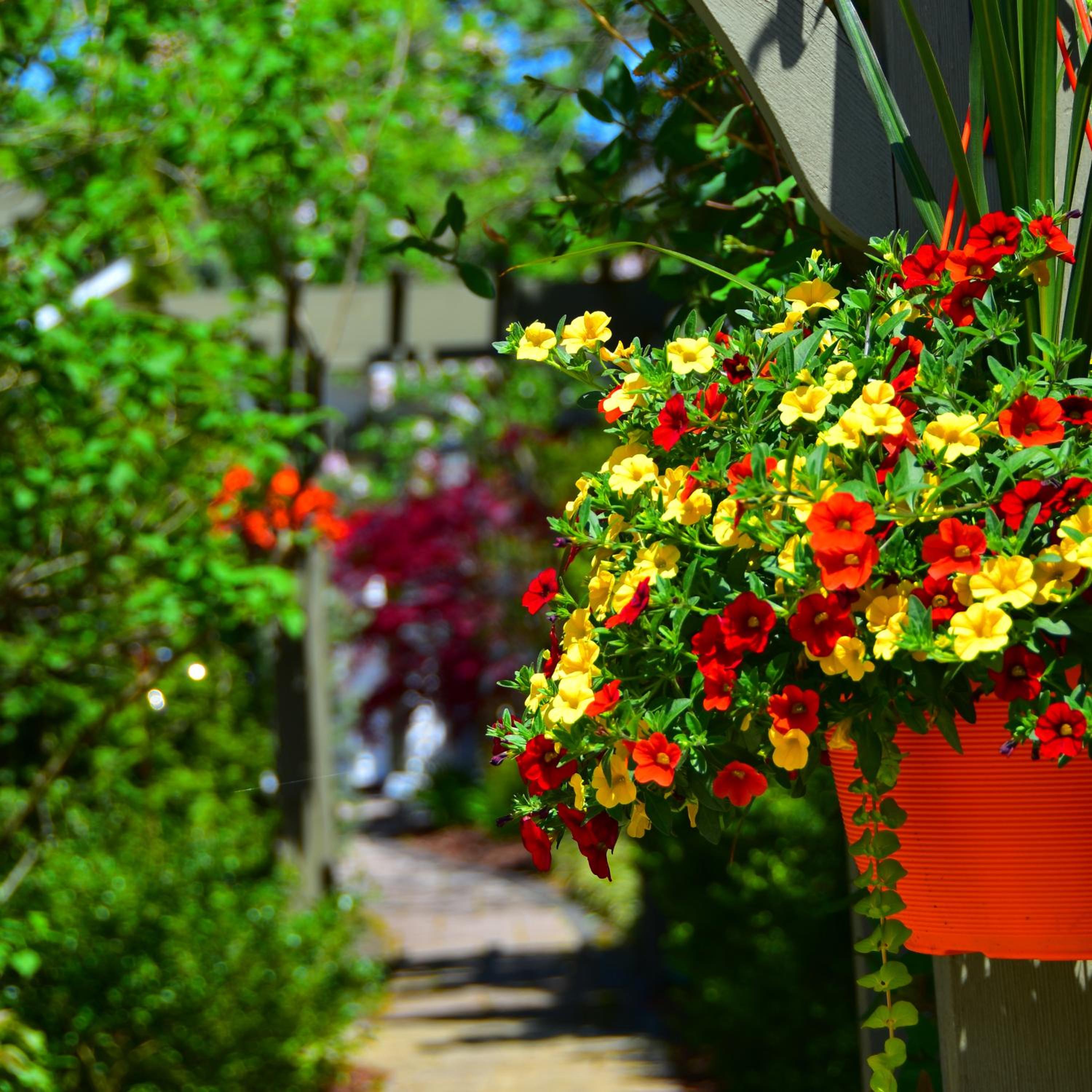 Explorer House Bed & Breakfast