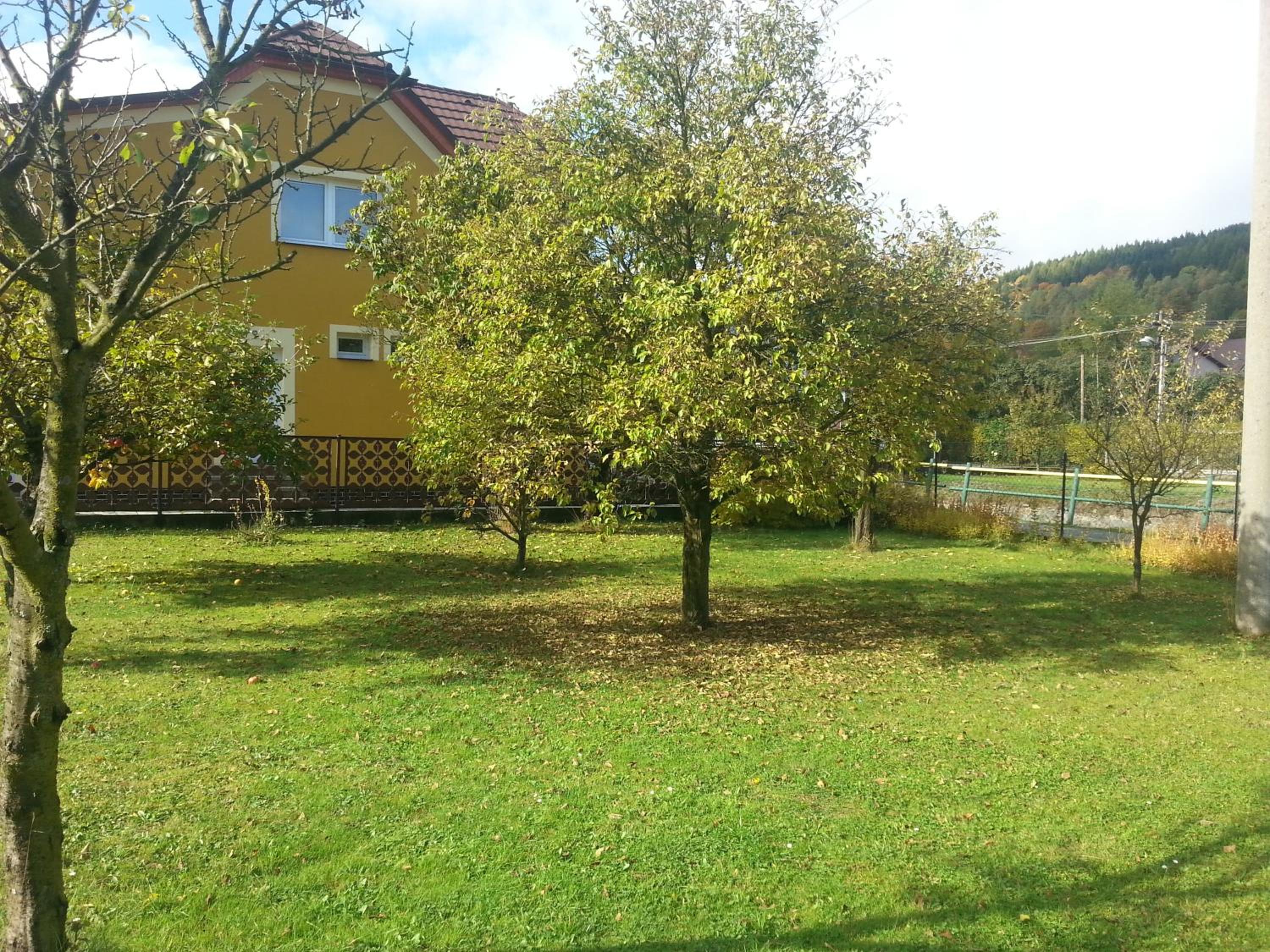 Photo 30