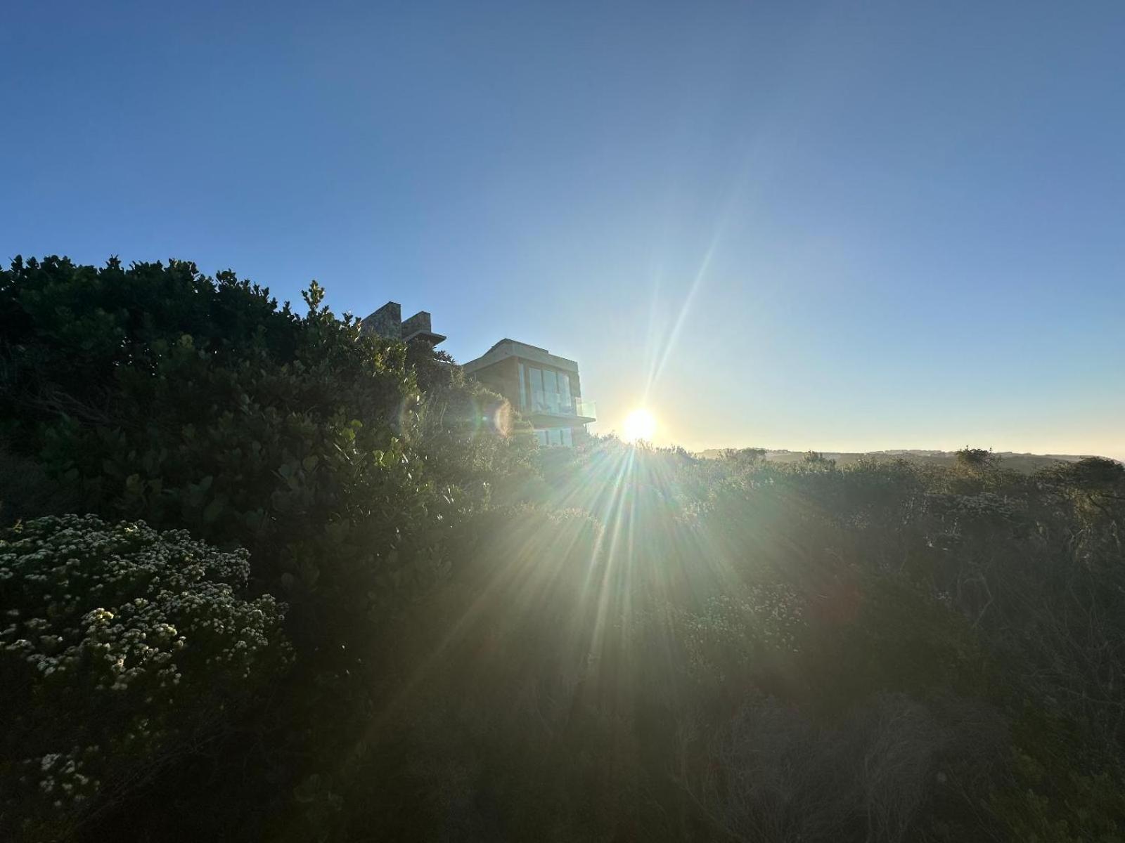 RRoar George view 4