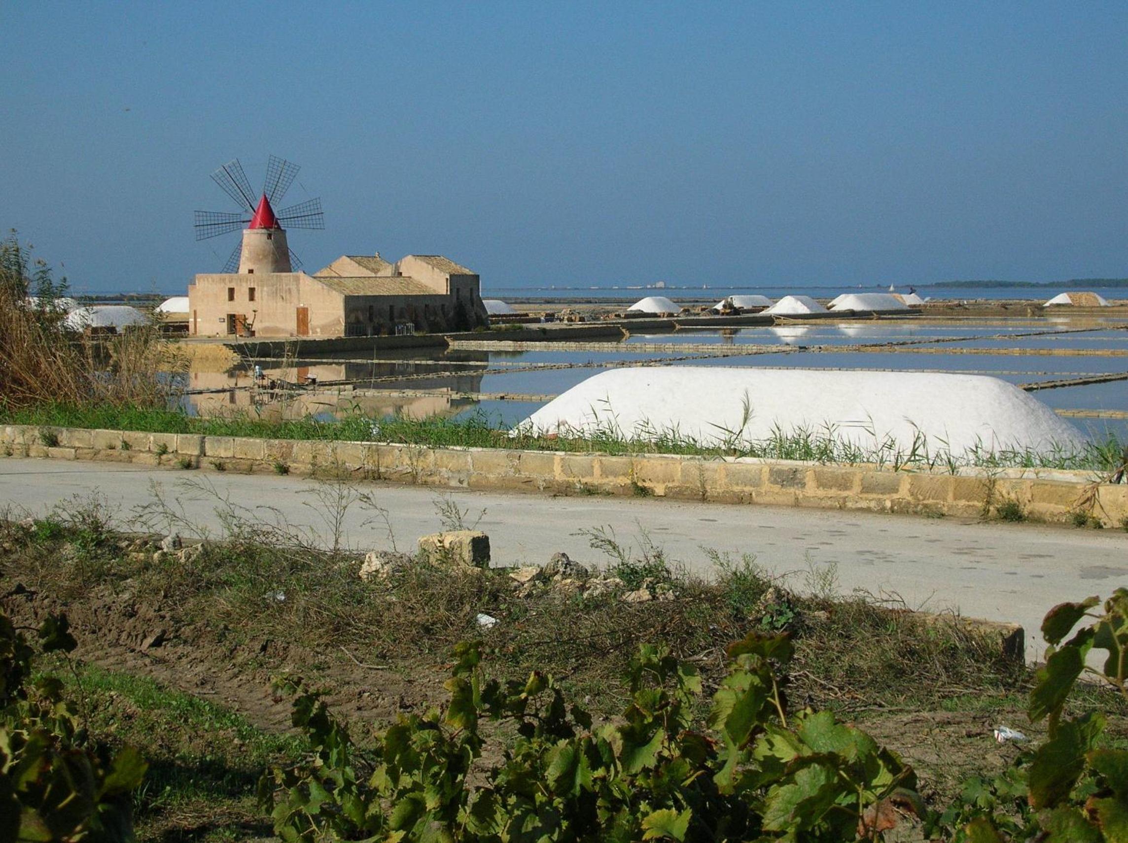 Photo 23