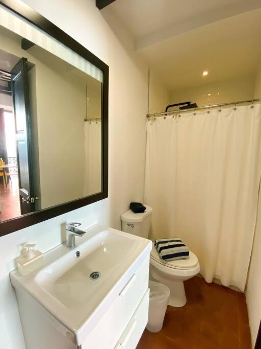 Just Remodeled Studio in Colonial OSJ UNIQUE Location LOCAL experience view 2