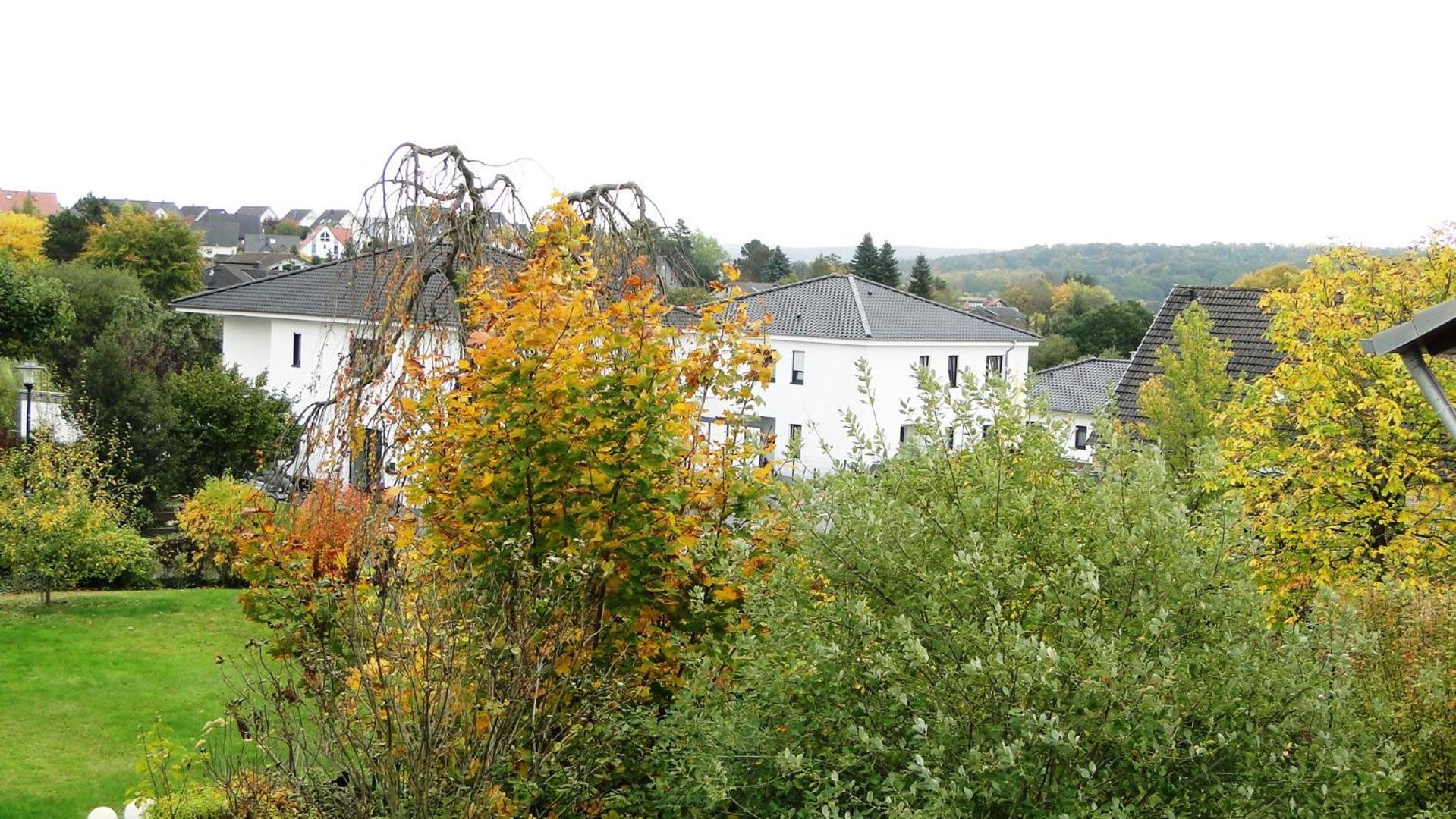 Photo 38