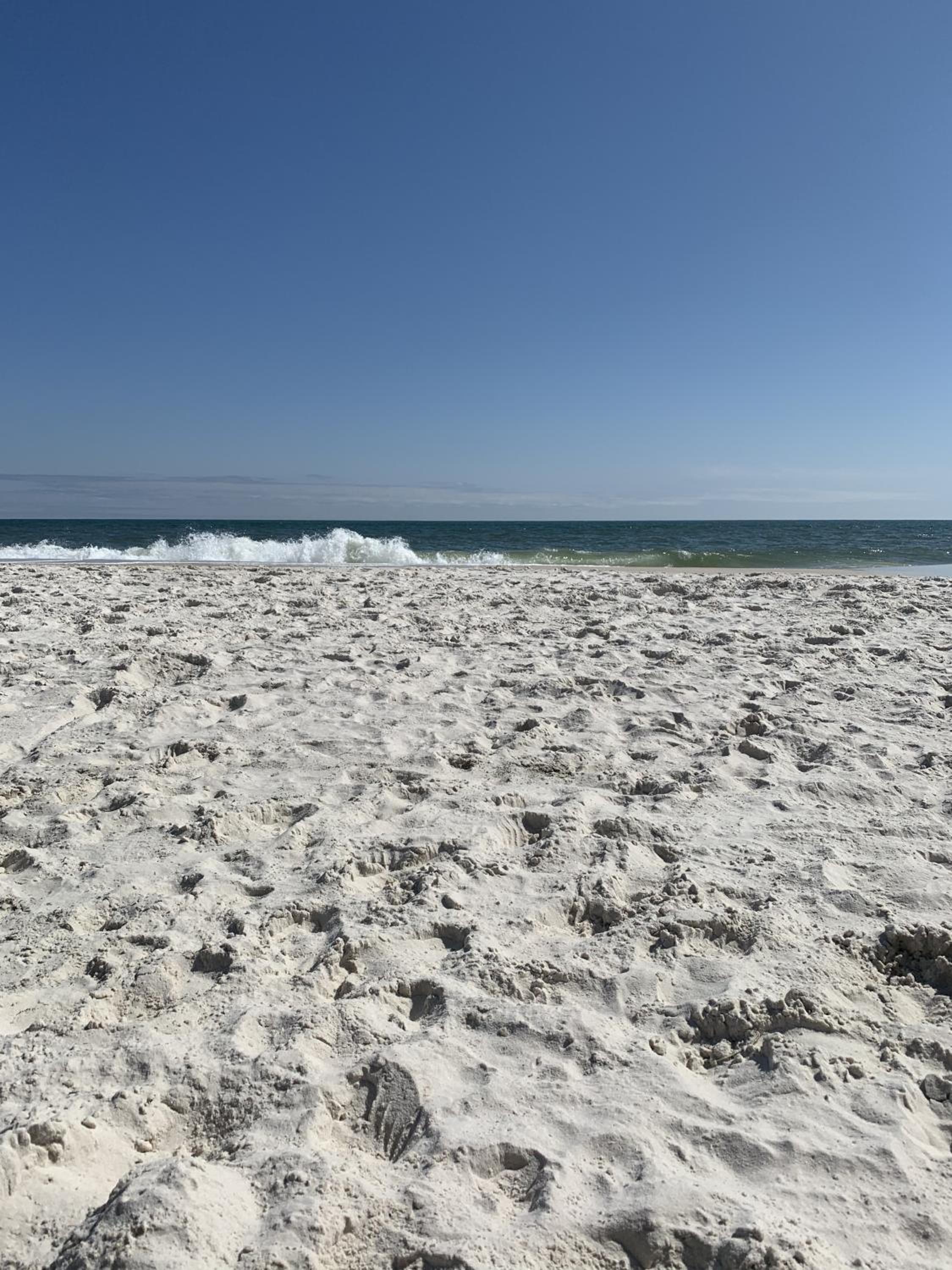 3BR Condo Gulf Views with Pool, Boat Launch and Dock view 2