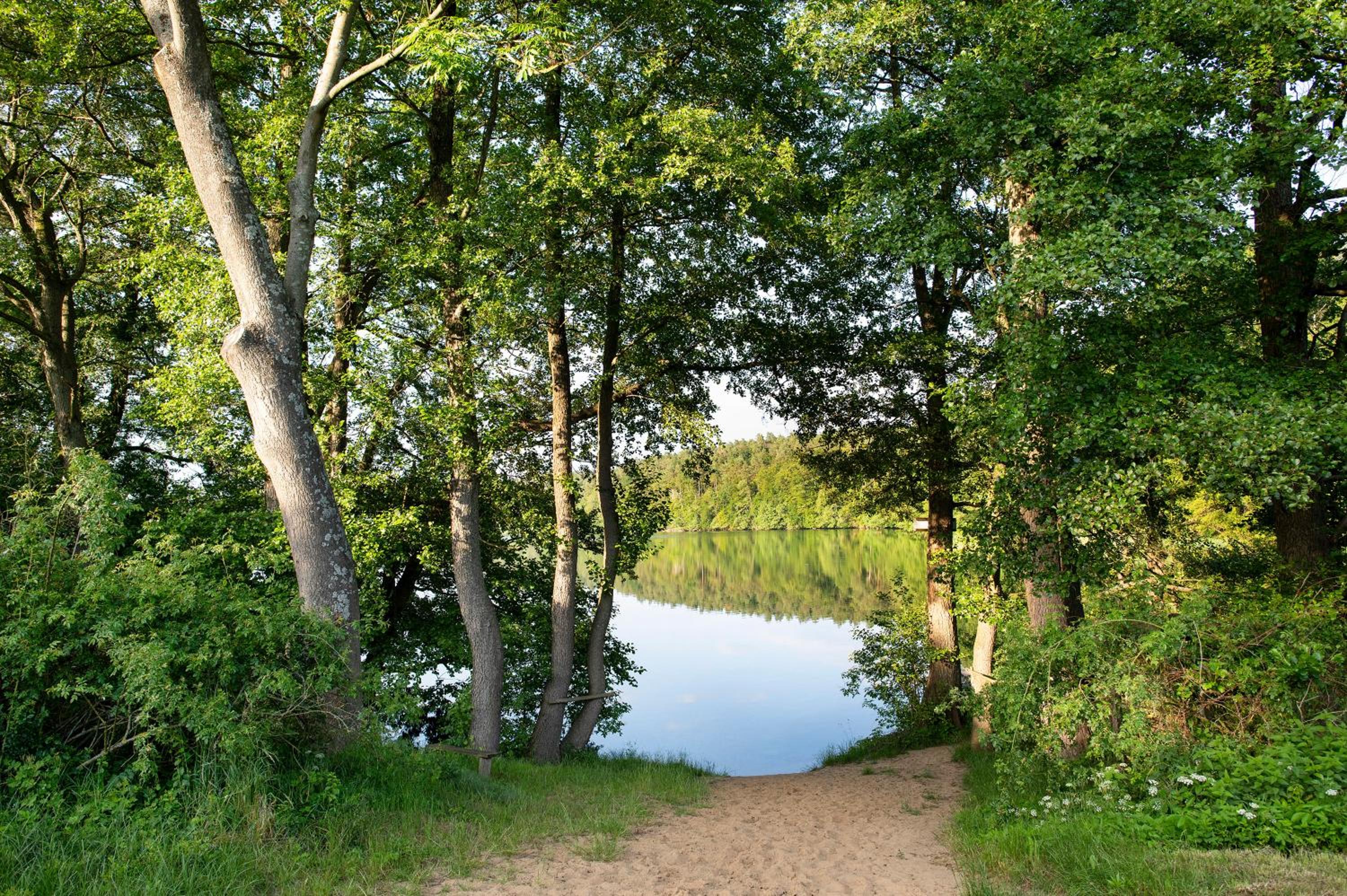 Krüseliner Mühle - Ferienwohnungen