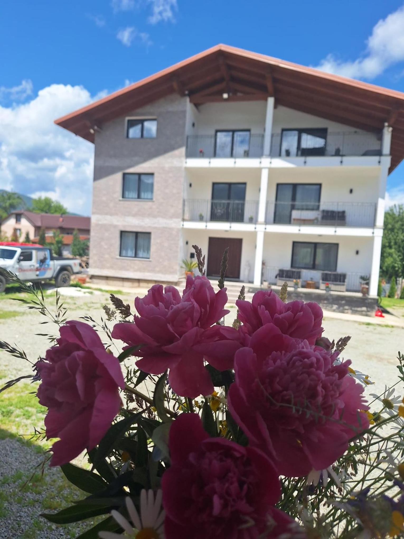 Pensiunea Casa de pe Vale
