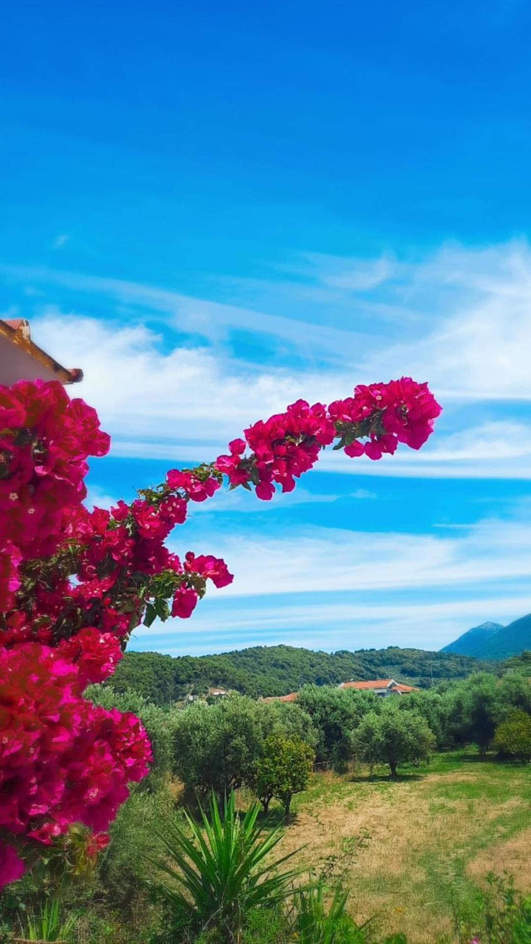 Villa Thea view 3