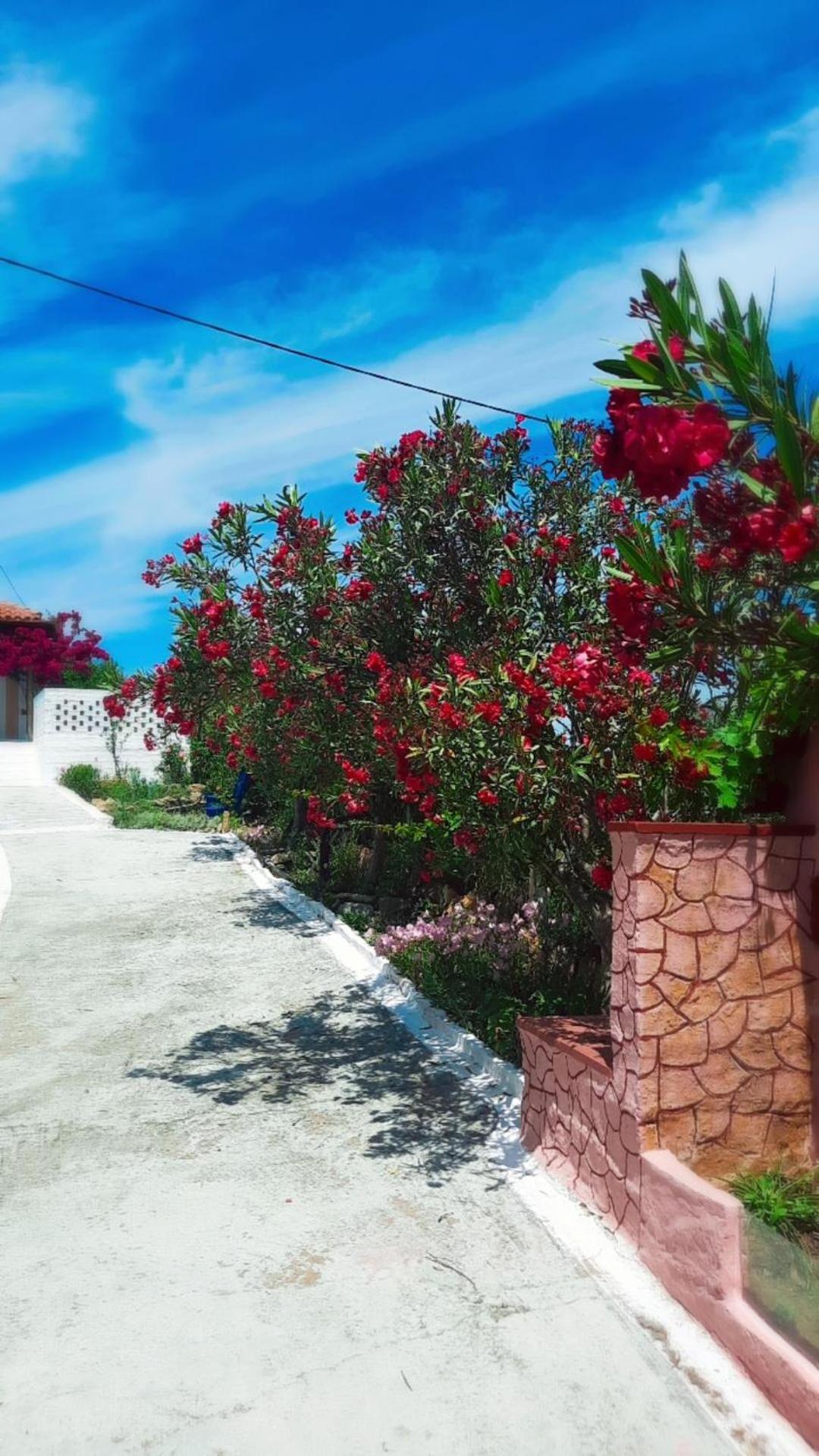 Villa Thea view 2