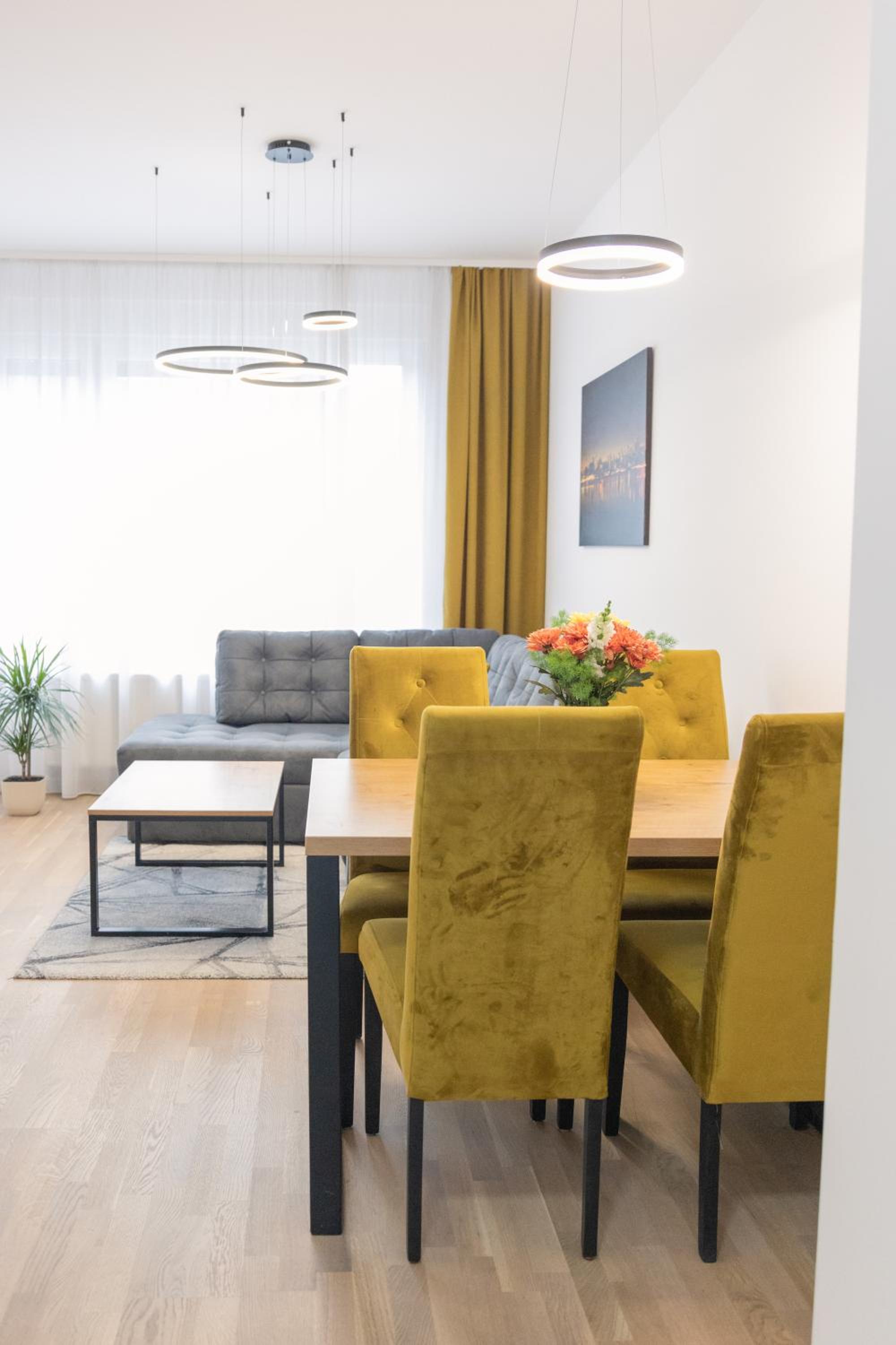 Drobac apartment