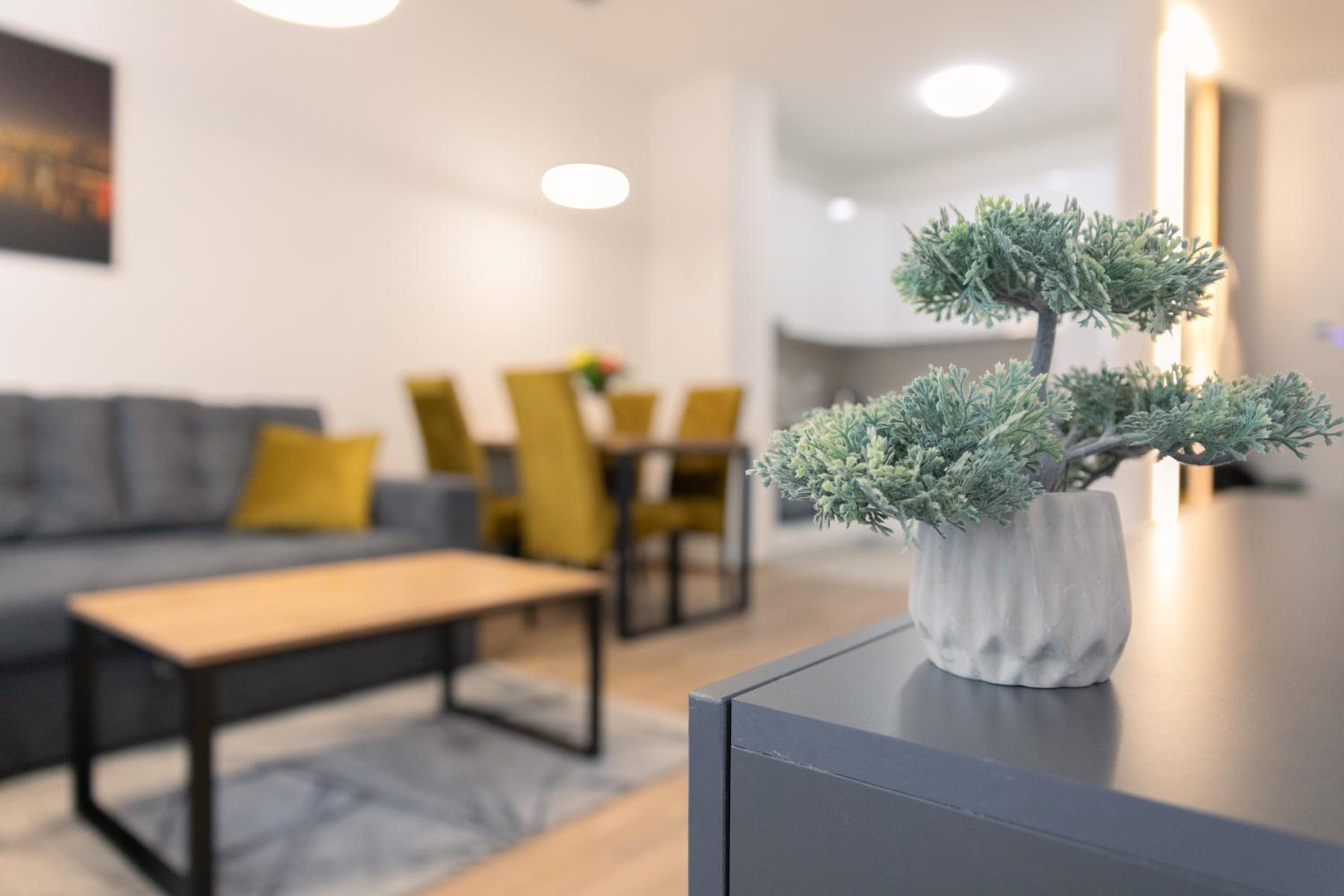 Drobac apartment