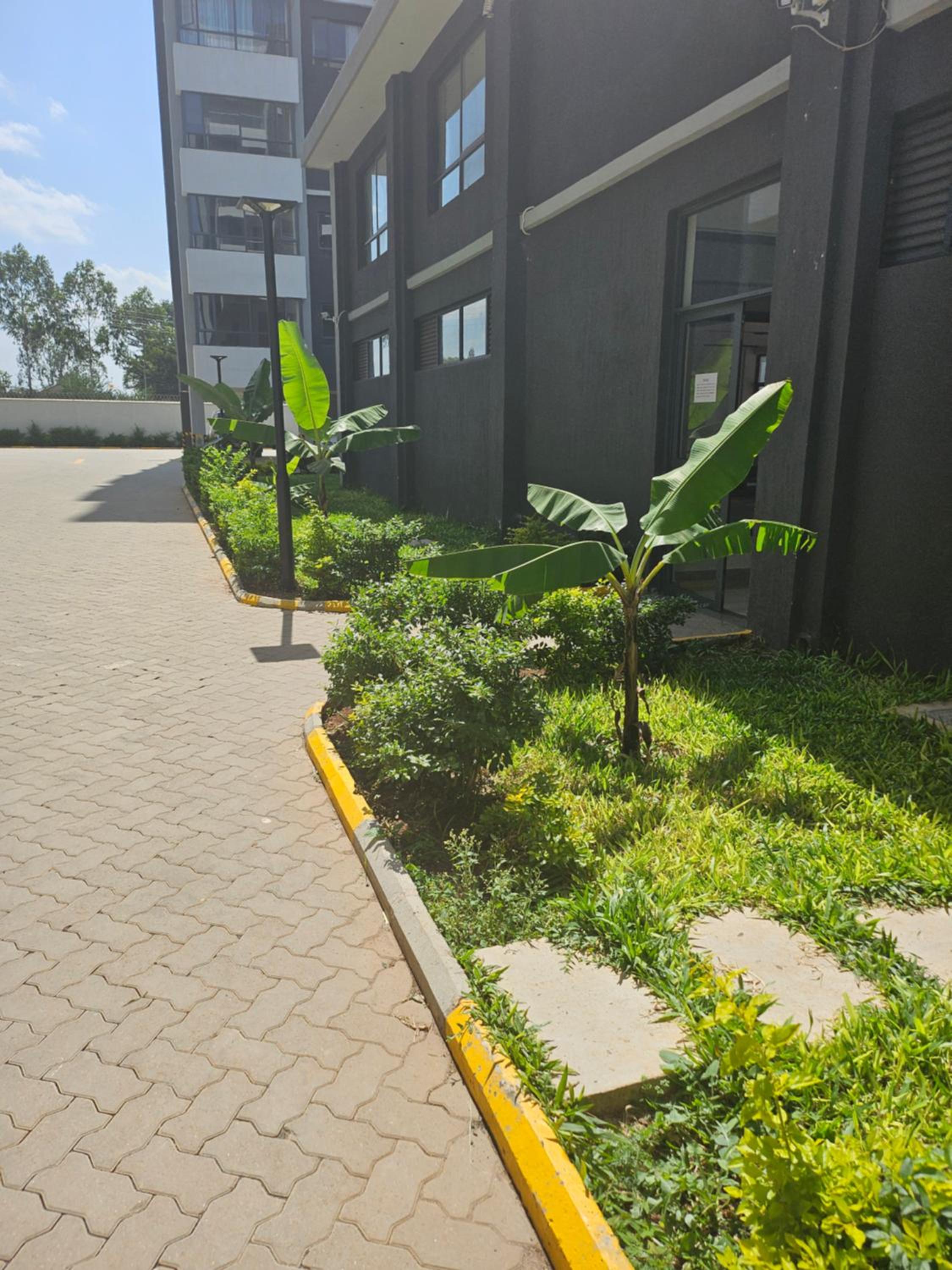 Carenna homey Homes