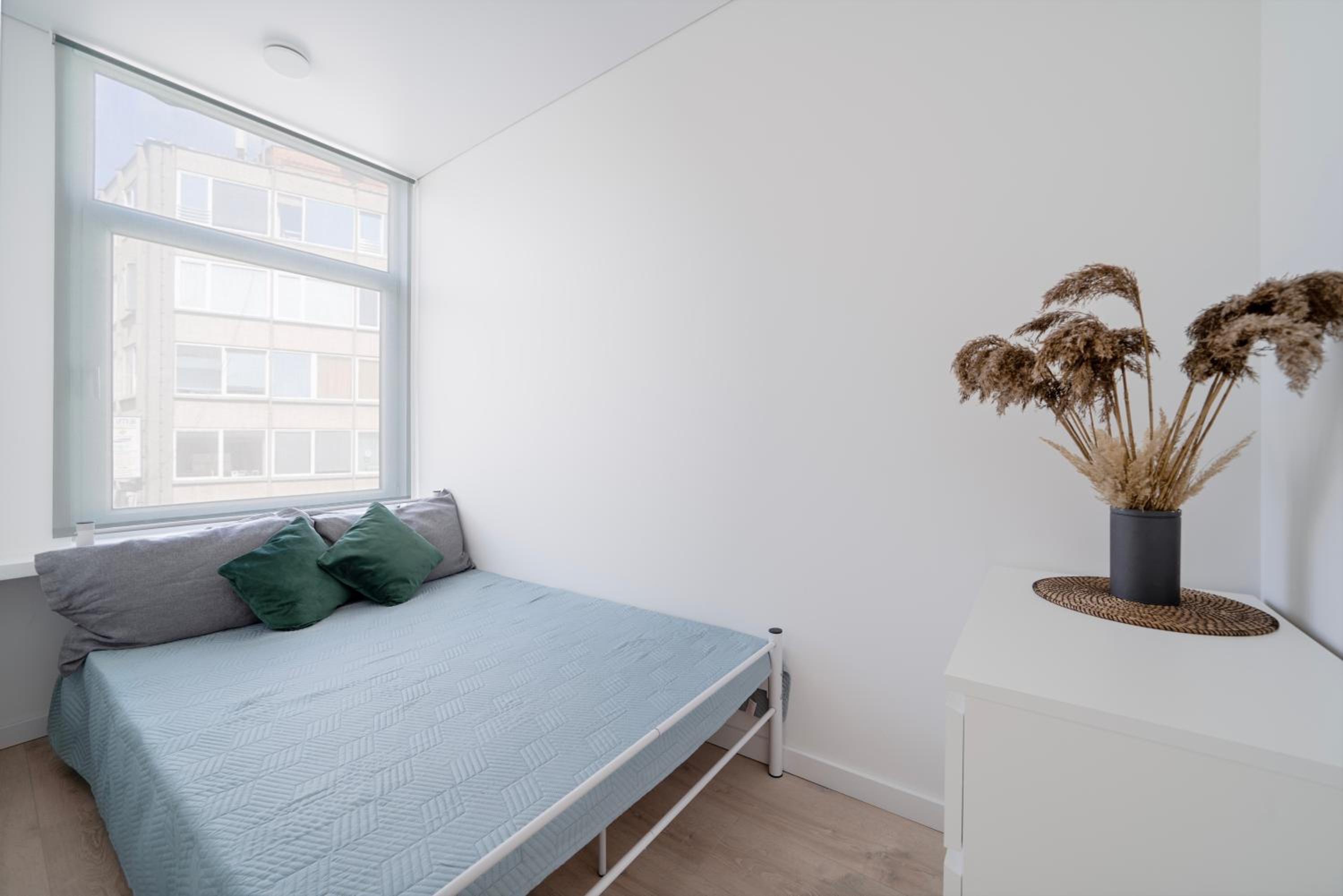 Central Cozy 1Bedroom Apartment with Sofa Bed - Sleeps 4 view 2